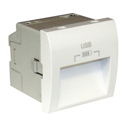 CARREG DUPLO USB SAIDAS 20° TIPO A 2 MOD BR 45384SBR - 45384SBR