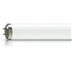 LAMPADA UVB/12 FOTOTERAPIA TL 40W/12 RS PHILIPS 66245800 - 66245800